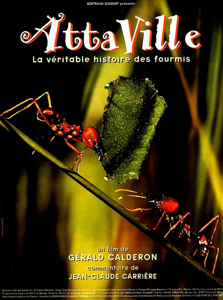 Attaville, la véritable histoire des fourmis (1998) постер