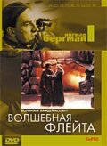 Волшебная флейта (1975) постер