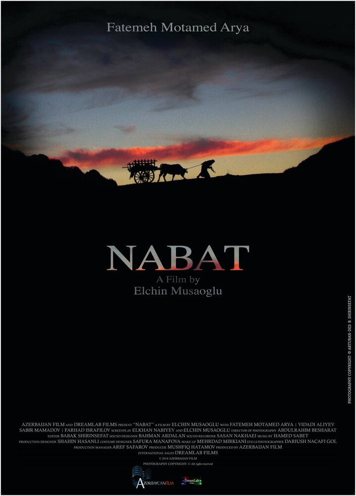 Набат (2014) постер
