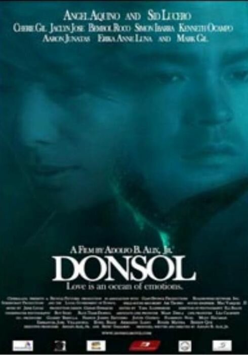 Донсол (2006) постер